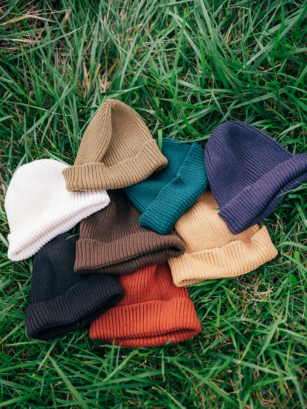 Cotton Cuff Beanies in Fall 2026 colors