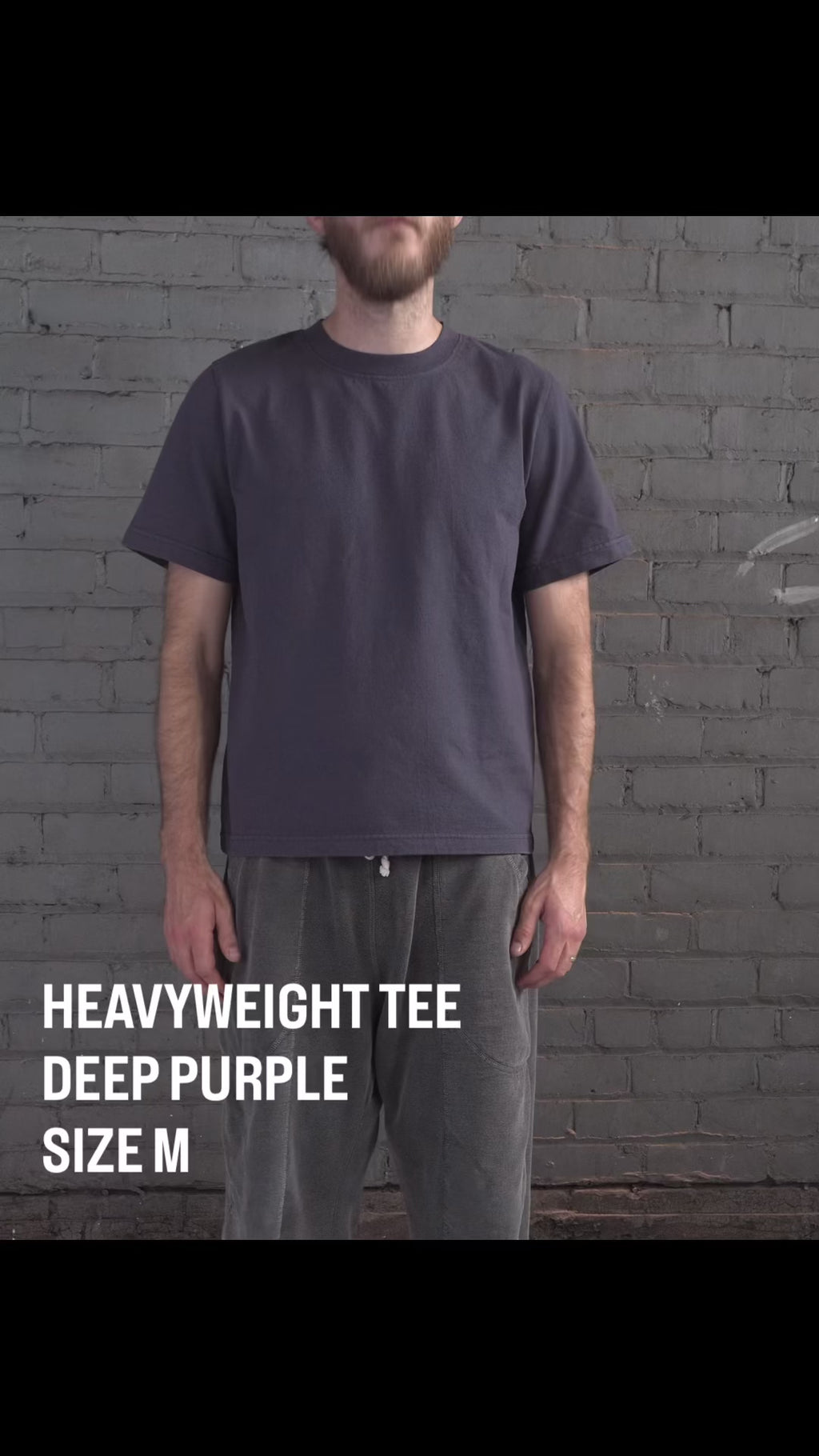 The Heavyweight Tee in Deep Purple, size M, fit video