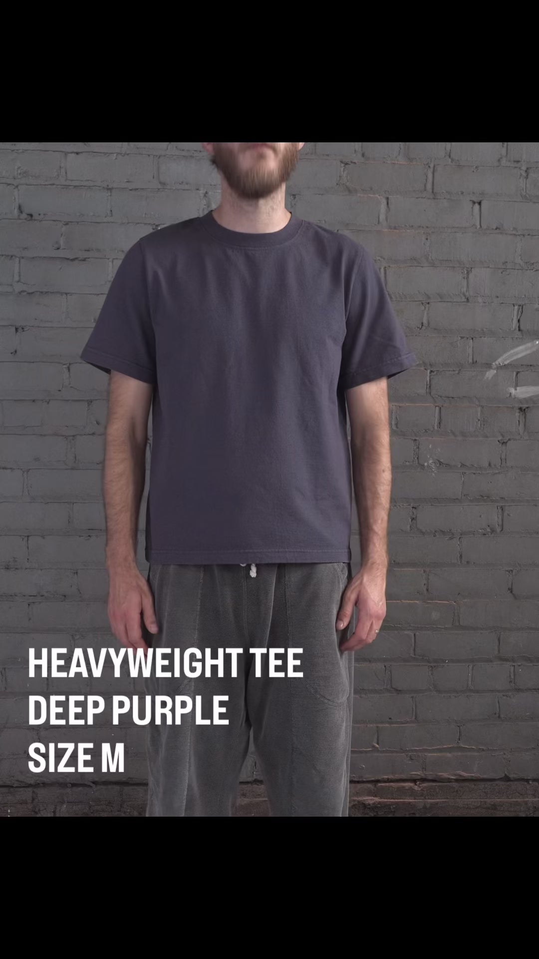 The Heavyweight Tee in Deep Purple, size M, fit video
