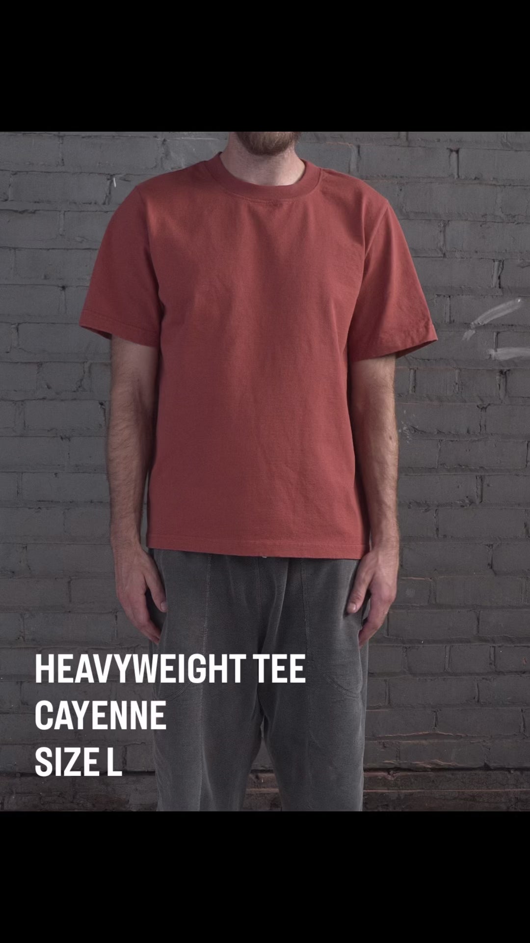 The Heavyweight Tee in Cayenne, size L, fit video